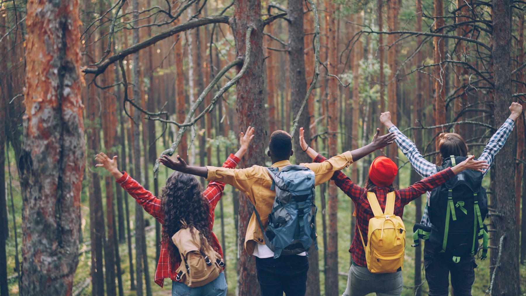 Four friends from diverse backgrounds hiking through a forest together, arms raised in celebration